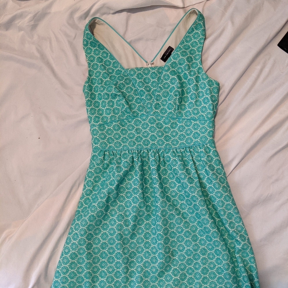 light green embroidered dress The Limited